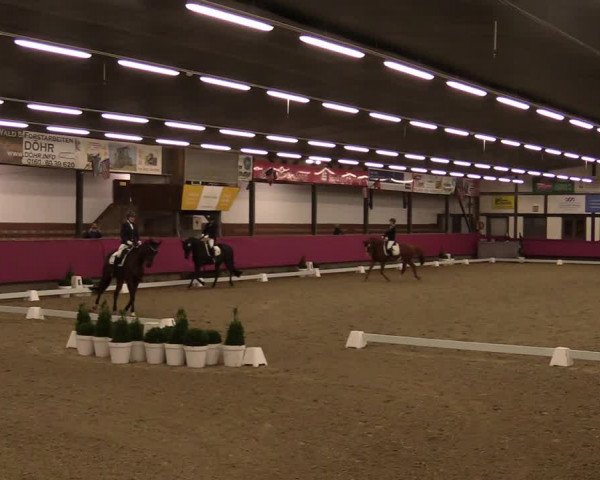 Reitturnier Vlotho-Exter 2021