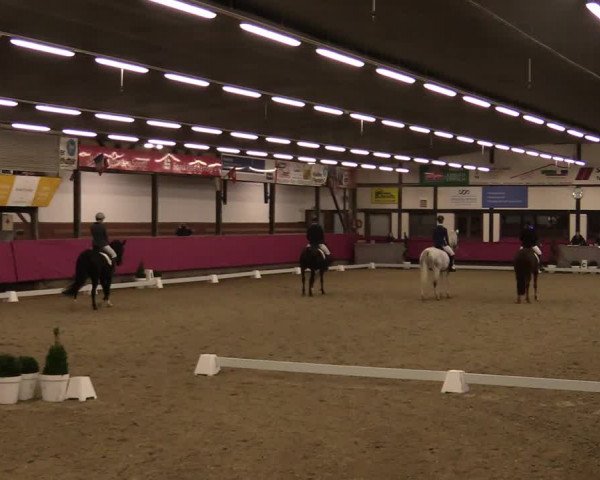 Reitturnier Vlotho-Exter 2021