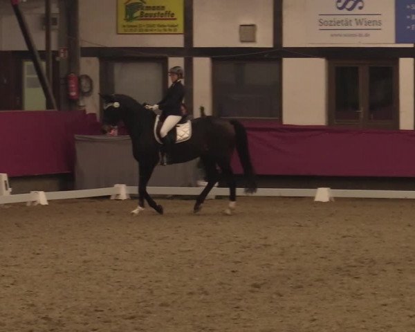 Reitturnier Vlotho-Exter 2021