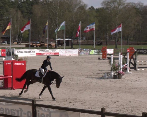 Reitturnier Westergellersen 2025