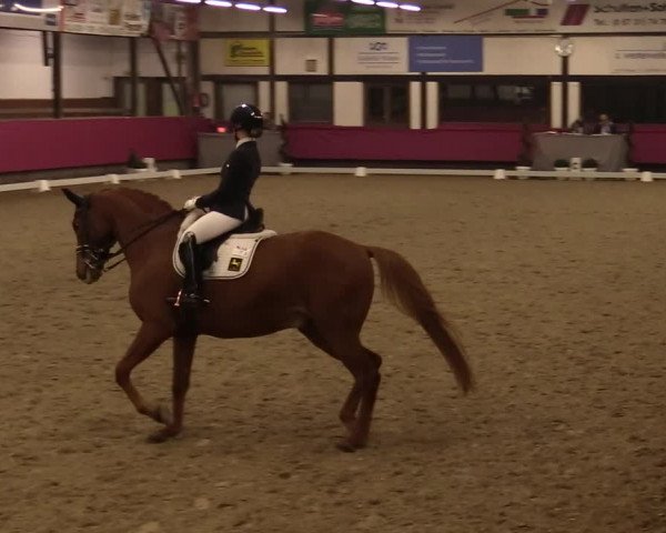 Reitturnier Vlotho-Exter 2021
