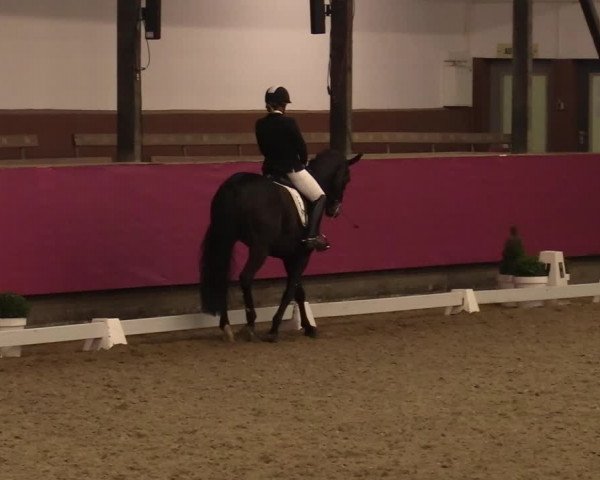 Reitturnier Vlotho-Exter 2021