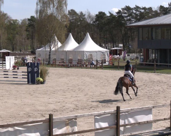 Reitturnier Westergellersen 2025