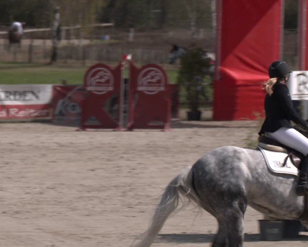 Reitturnier Westergellersen 2025