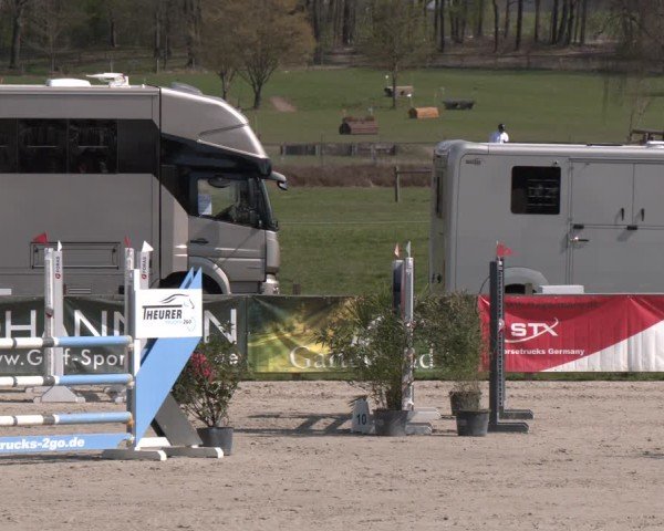 Reitturnier Westergellersen 2025