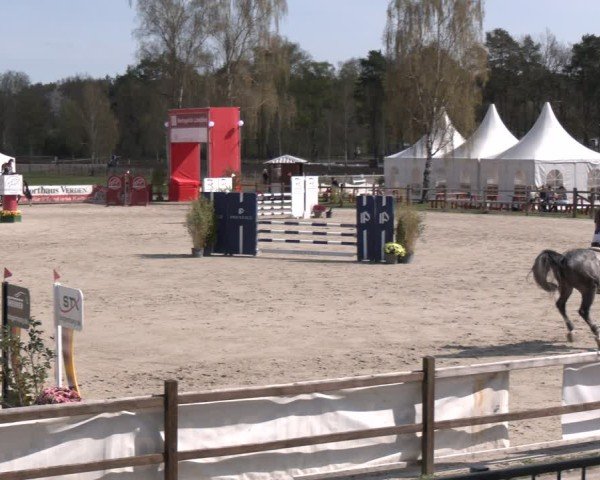 Reitturnier Westergellersen 2025