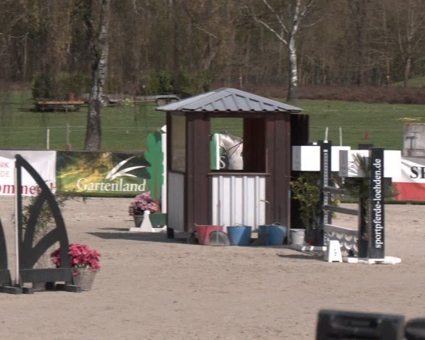 Reitturnier Westergellersen 2025