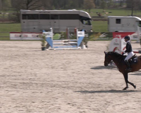 Reitturnier Westergellersen 2025