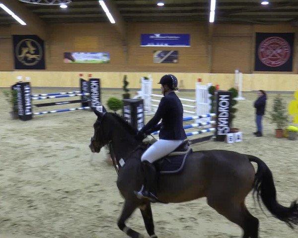 Reitturnier Paderborn 2021