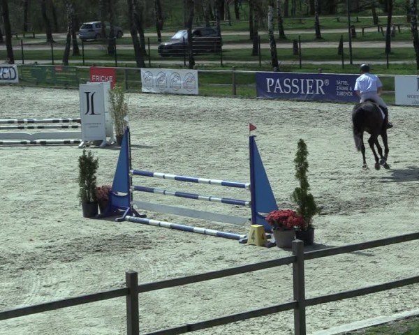 Reitturnier Westergellersen 2025