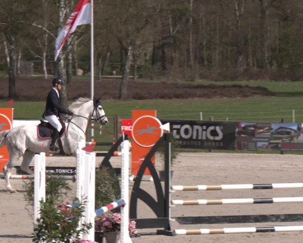 Reitturnier Westergellersen 2025