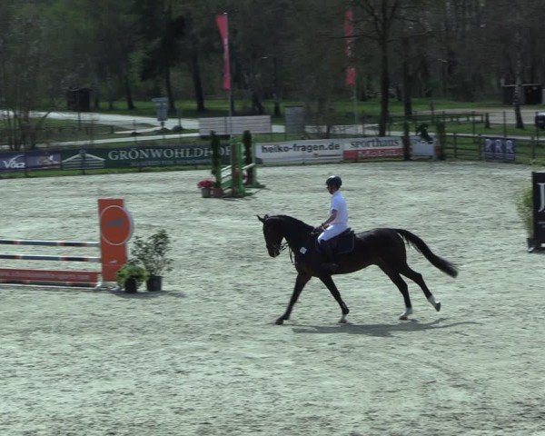 Reitturnier Westergellersen 2025