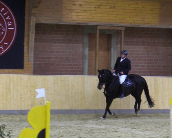Reitturnier Paderborn 2021