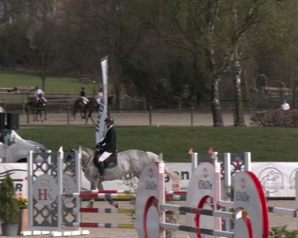 Reitturnier Westergellersen 2025