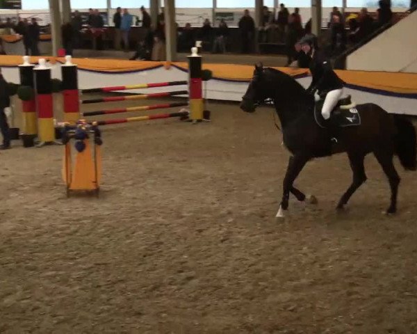 Vreden 2014