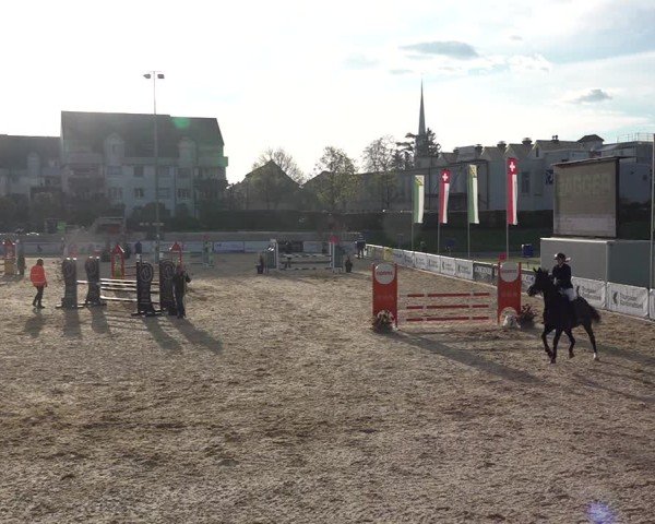 Reitturnier Amriswil 2025