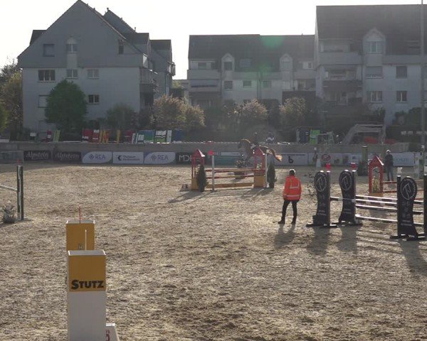 Reitturnier Amriswil 2025