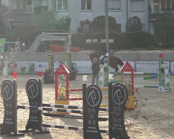 Reitturnier Amriswil 2025
