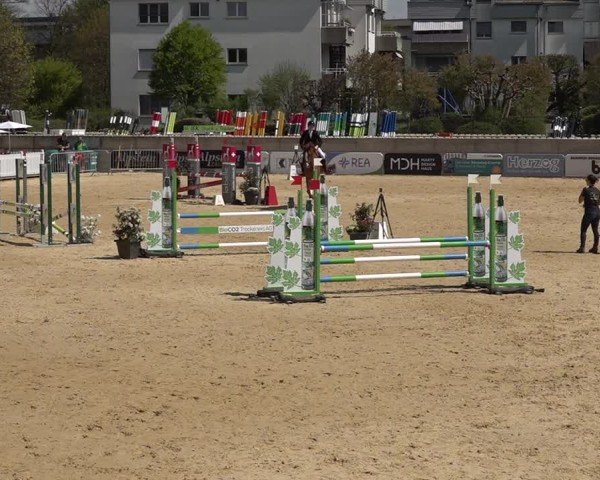 Reitturnier Amriswil 2025