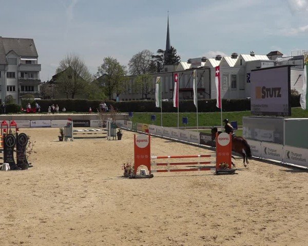 Reitturnier Amriswil 2025