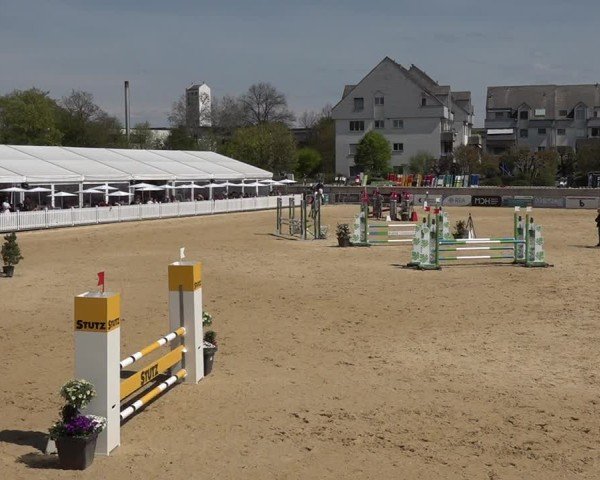 Reitturnier Amriswil 2025