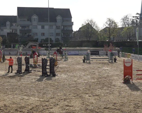 Reitturnier Amriswil 2025