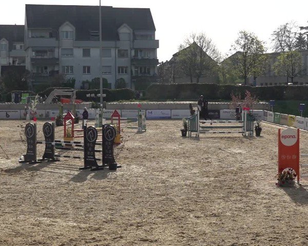Reitturnier Amriswil 2025