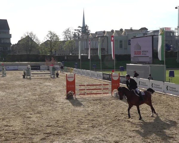 Reitturnier Amriswil 2025