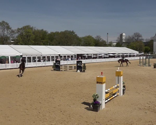 Reitturnier Amriswil 2025