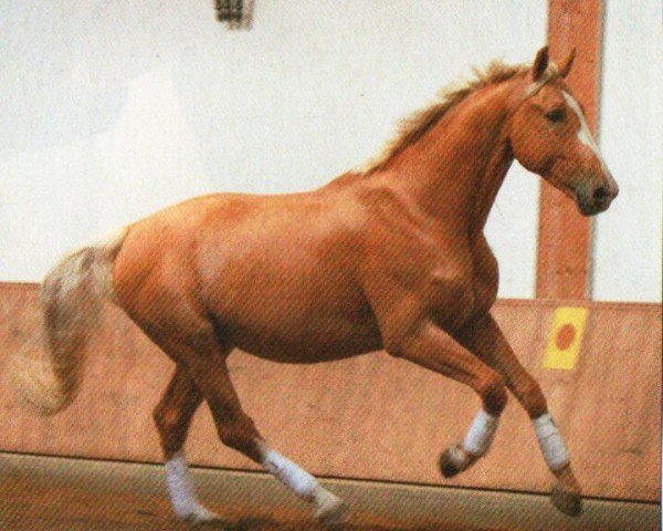 horse Royal Colour (Oldenburg, 2008, from Rohdiamant)