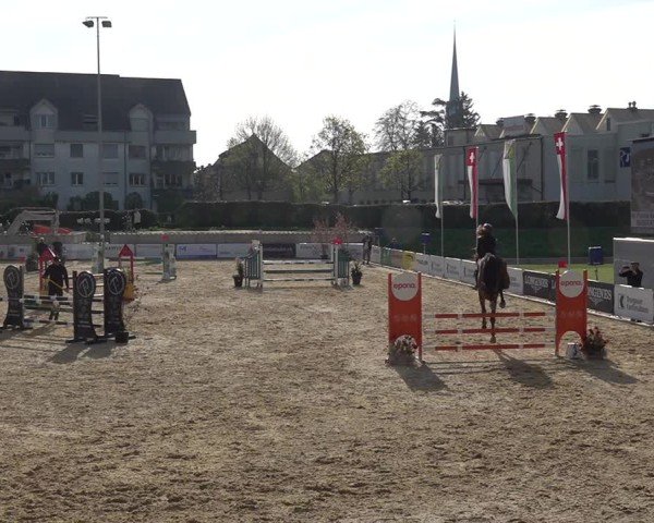 Reitturnier Amriswil 2025