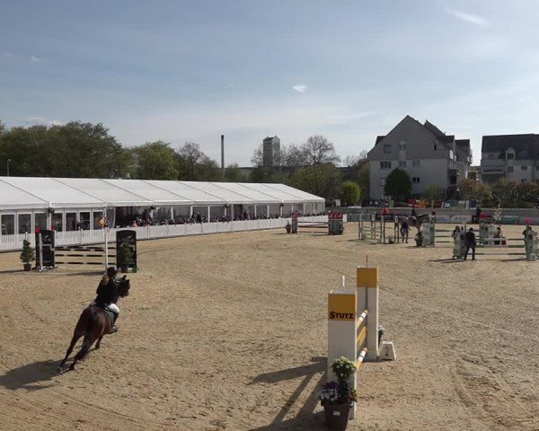 Reitturnier Amriswil 2025