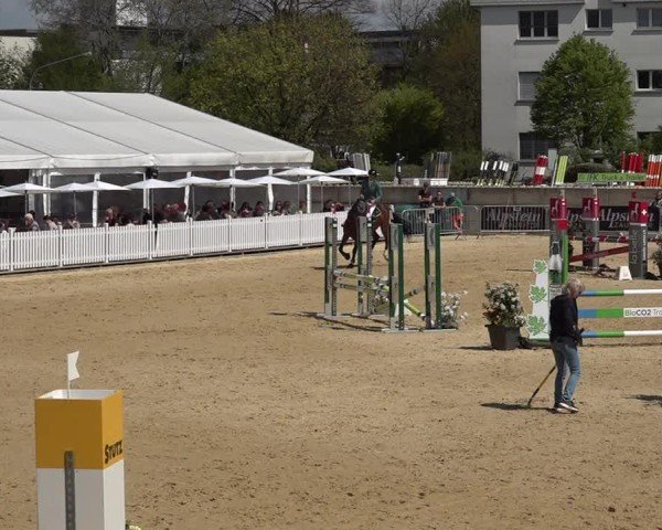 Reitturnier Amriswil 2025