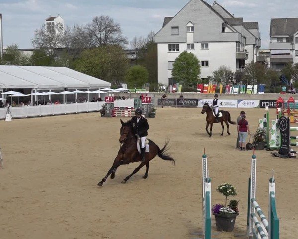 Reitturnier Amriswil 2025