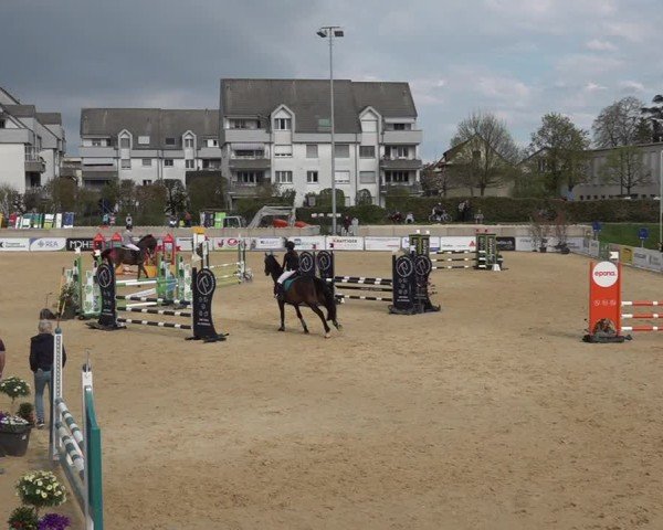 Reitturnier Amriswil 2025
