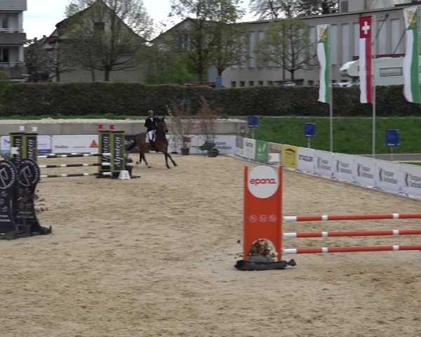 Reitturnier Amriswil 2025