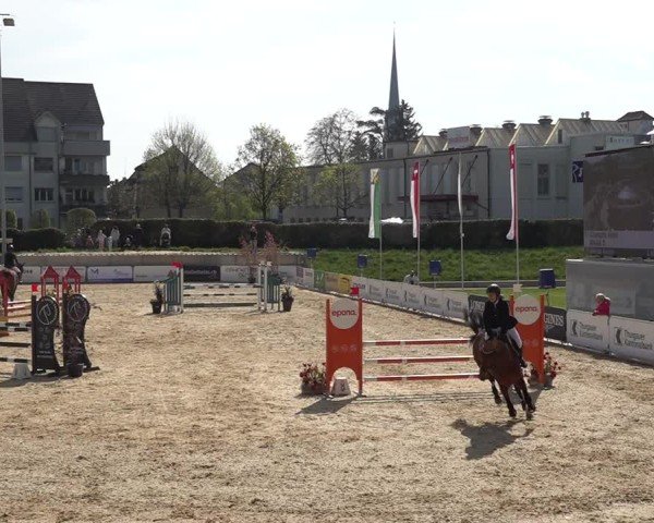 Reitturnier Amriswil 2025