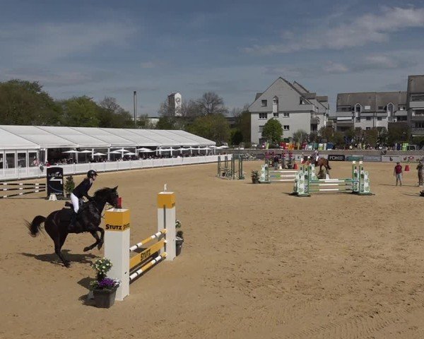 Reitturnier Amriswil 2025