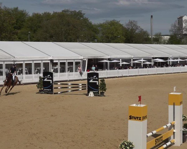 Reitturnier Amriswil 2025