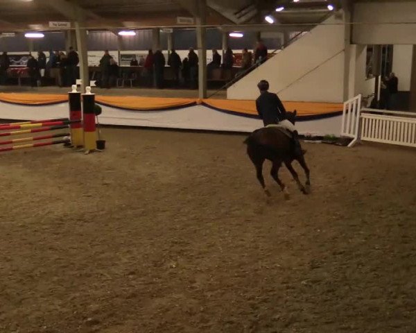 Vreden 2014