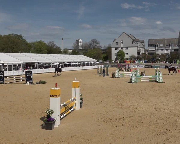 Reitturnier Amriswil 2025