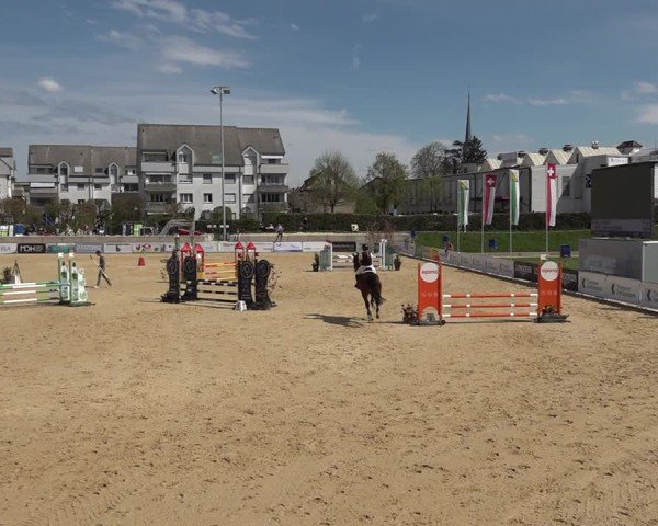 Reitturnier Amriswil 2025