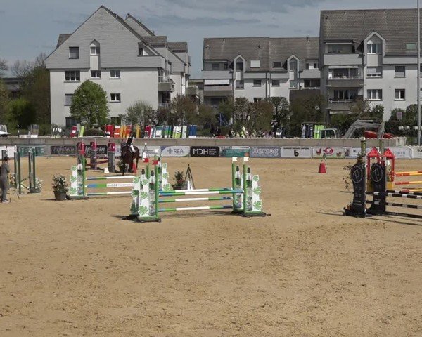 Reitturnier Amriswil 2025