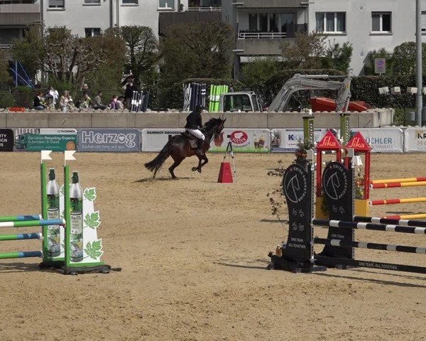 Reitturnier Amriswil 2025