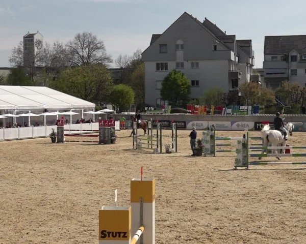 Reitturnier Amriswil 2025