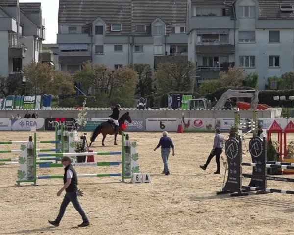 Reitturnier Amriswil 2025
