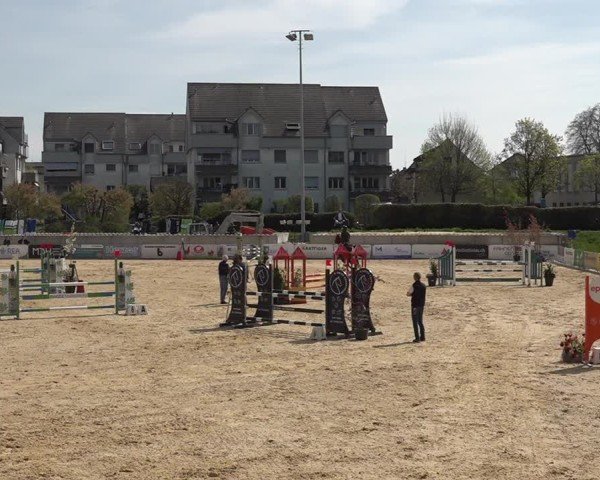 Reitturnier Amriswil 2025