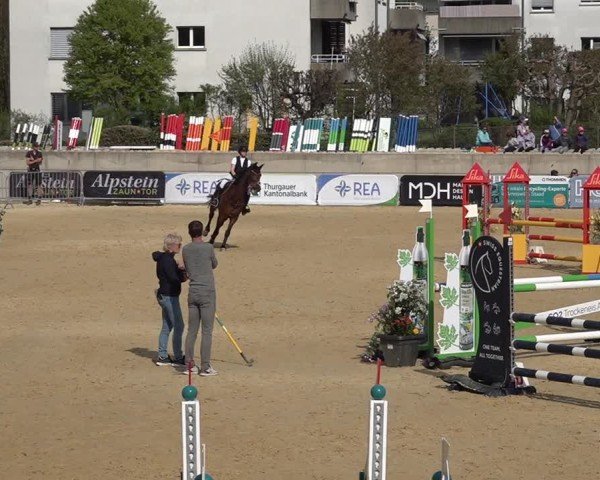 Reitturnier Amriswil 2025