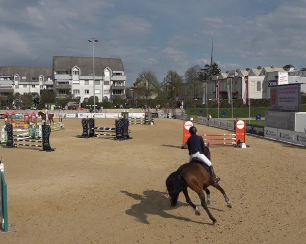 Reitturnier Amriswil 2025