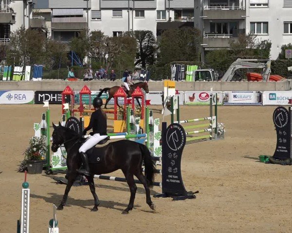 Reitturnier Amriswil 2025